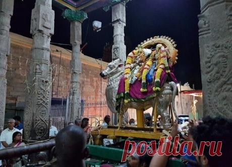 Минакши - храм тысяч скульптур