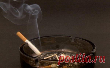 Как избавиться от запаха табака | Креативные идеи