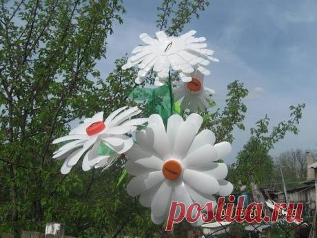 Ромашки из пластиковых бутылок