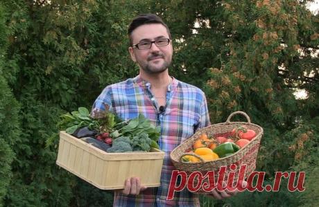 БИОЛОГИЧЕСКИЕ ПРЕПАРАТЫ ПРОТИВ БОЛЕЗНЕЙ РАСТЕНИЙ | Виталий Декабрев | Яндекс Дзен