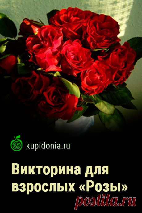 Викторина для взрослых «Розы». Интересный тест с вопросами о розах из серии «Красивые цветы». Проверь свои знания!