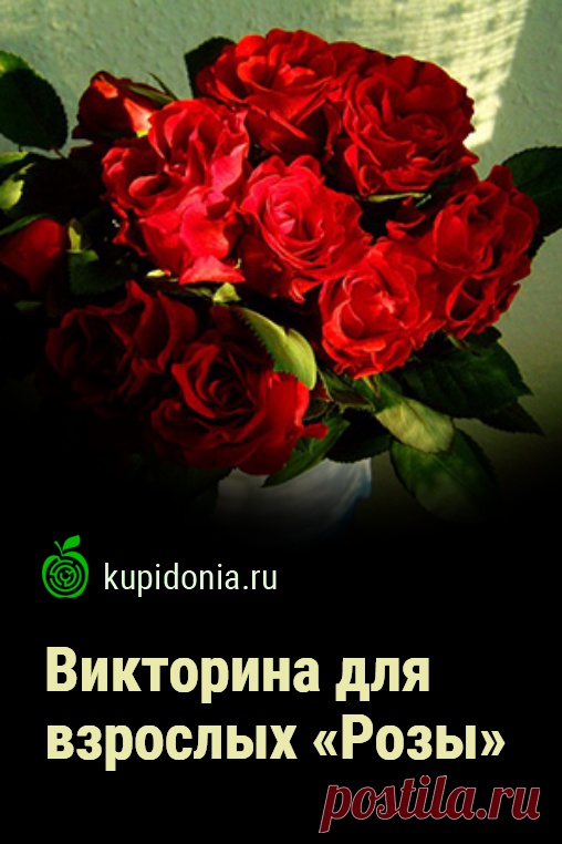 Викторина для взрослых «Розы». Интересный тест с вопросами о розах из серии «Красивые цветы». Проверь свои знания!