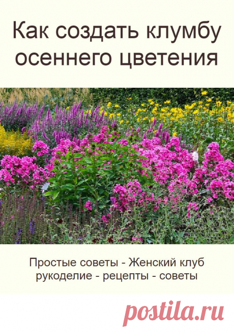 Брендон Карри. Действующий Мистер Олимпия мечтает побороться с Филом Хитом