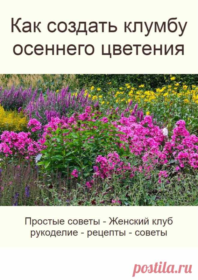 Брендон Карри. Действующий Мистер Олимпия мечтает побороться с Филом Хитом