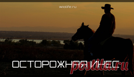 Вдохновляющая притча об осторожной Инес
На пути в Кордову обязательно сверните с пыльной дороги к маленькой деревне...
Читай дальше на сайте. Жми подробнее ➡