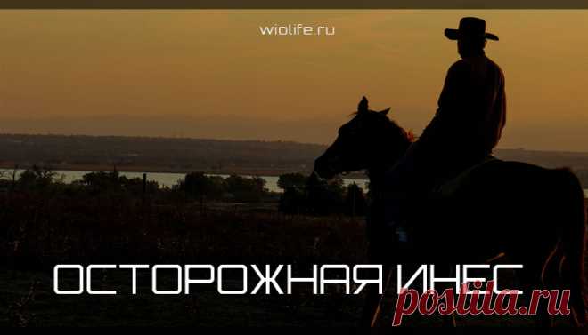 Вдохновляющая притча об осторожной Инес
На пути в Кордову обязательно сверните с пыльной дороги к маленькой деревне...
Читай дальше на сайте. Жми подробнее ➡