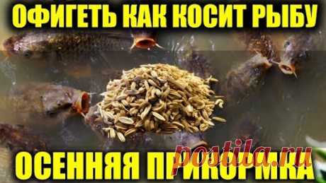 МОЩНАЯ ПРИКОРМКА ИЗ СПЕЦИЙ ДЛЯ РЫБАЛКИ, ОСЕННЯЯ ПРИКОРМКА ДЛЯ РЫБАЛКИ СВОИМИ РУКАМИ FISHING BAIT