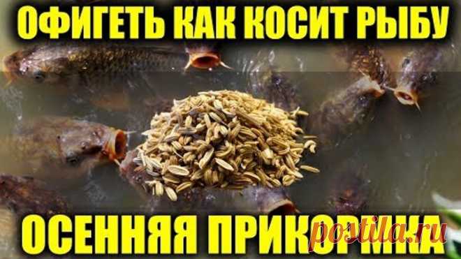 МОЩНАЯ ПРИКОРМКА ИЗ СПЕЦИЙ ДЛЯ РЫБАЛКИ, ОСЕННЯЯ ПРИКОРМКА ДЛЯ РЫБАЛКИ СВОИМИ РУКАМИ FISHING BAIT