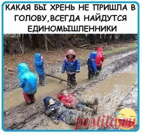 Пьяный мужик подобрал кота и приходит домой. Открывает жена...