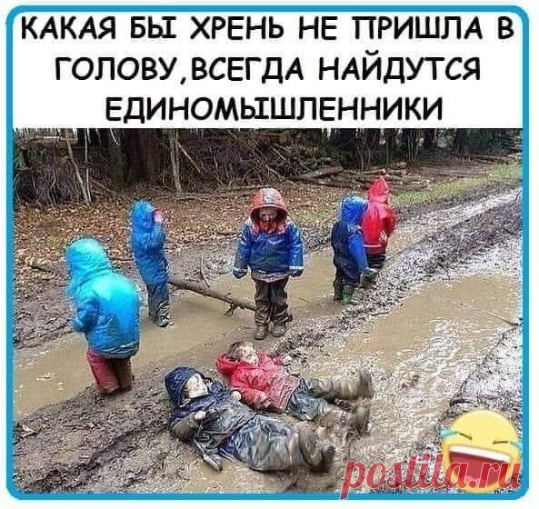 Пьяный мужик подобрал кота и приходит домой. Открывает жена...