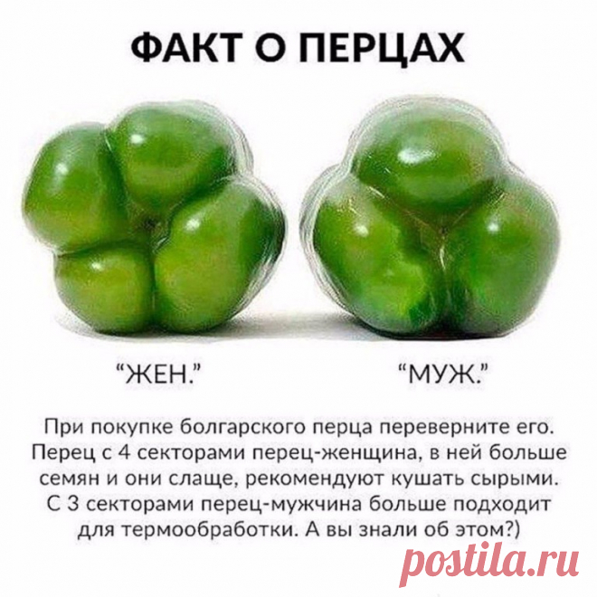 Полезно знать!