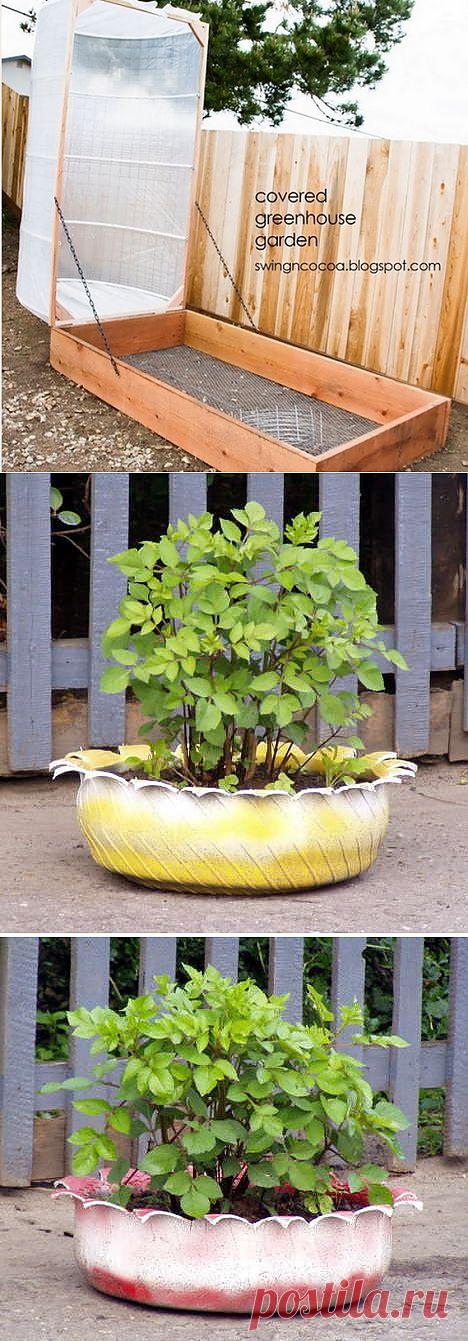 Интересные идеи для теплиц и клумб на участках..