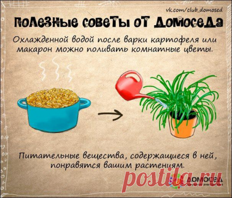 Хозяйке на заметку | Прикол.ру — приколы, картинки, фотки и розыгрыши!