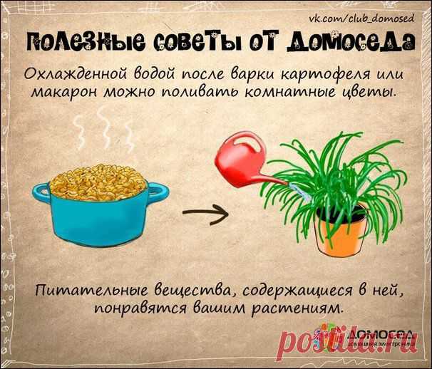 Хозяйке на заметку | Прикол.ру — приколы, картинки, фотки и розыгрыши!