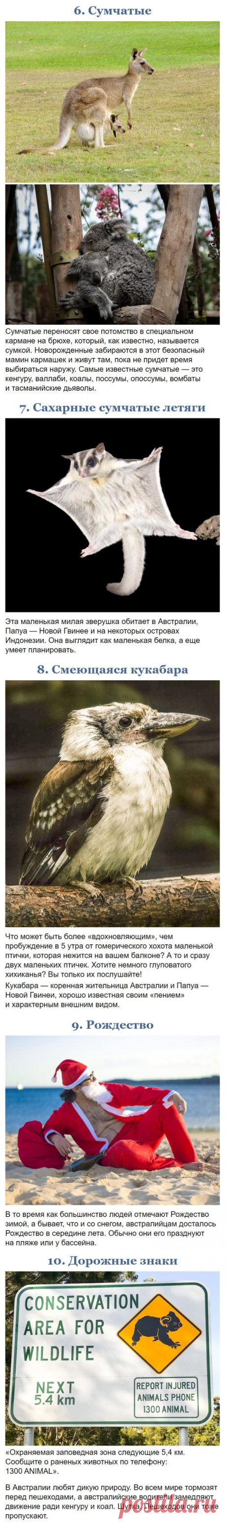10 фото, доказывающих, что Австралия — это совершенно иной мир / Туристический спутник
