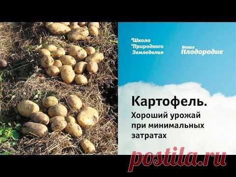 . Хороший урожай при минимальных затратах.