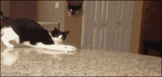*