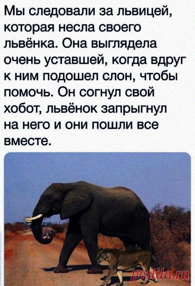 Без комментария