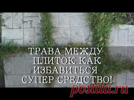 ТРАВА НА ДОРОЖКАХ МЕЖДУ ПЛИТОК - СУПЕР СРЕДСТВО!