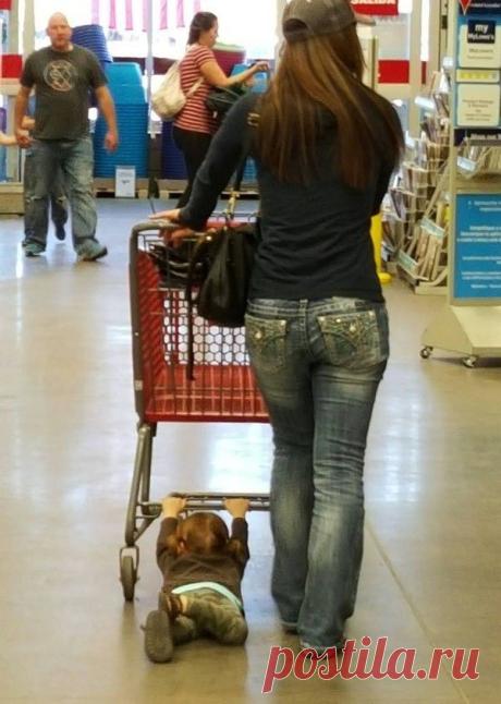 Great & funny photos from theChive : theCHIVE