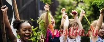 Create Climate Victory Garden