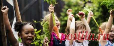 Create Climate Victory Garden
