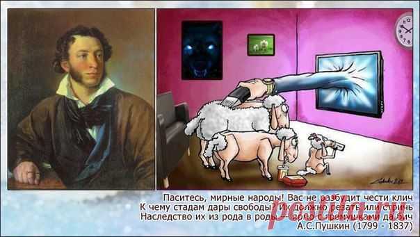 К чему стадам дары свободы?