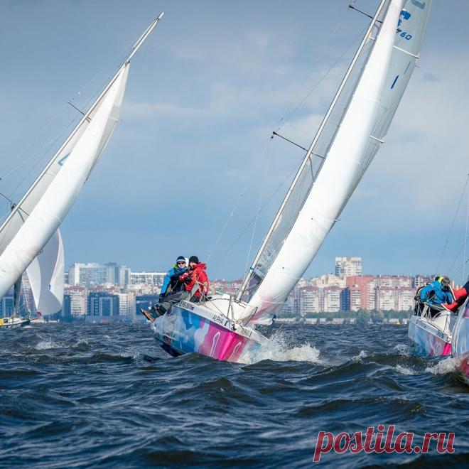 ⚓ Школа, где обучение превращается в захватывающее приключение
⛵ Опытные инструктора 🤩 Индивидуальный подход 💖 Приятные цены
💬 По всем интересующим вопросам 📧 info@sailskill.com 📞 +382 688 77656