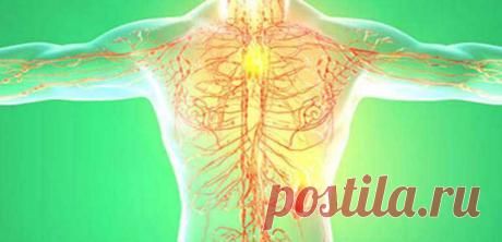 Упражнения для разгона лимфы: примеры гимнастик Домашние упражнения для разгона лимфы. Гинастика Микулина. Лимфодренажный массаж для лица, ног и тела. Видео Звиада Арабули для прокачки лимфы.