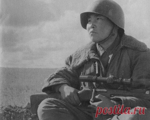 За что советский снайпер получил от немцев прозвище «дьявол из гнезда чертей» | Поле брани | Яндекс Дзен