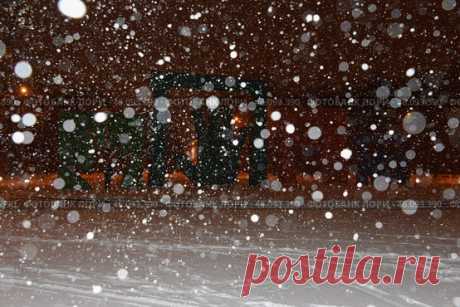 A snowstorm in progress, with snowflakes falling from the sky and covering the ground, dark and quiet scene. Парк имени 50-летия Октября в Москве ночью зимой. (2016 год) Редакционное фото, фотограф Ilaronsia / Фотобанк Лори