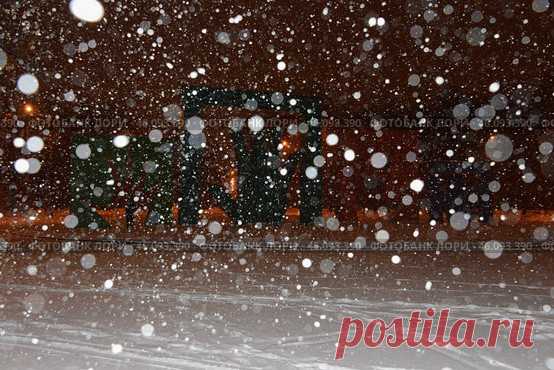 A snowstorm in progress, with snowflakes falling from the sky and covering the ground, dark and quiet scene. Парк имени 50-летия Октября в Москве ночью зимой. (2016 год) Редакционное фото, фотограф Ilaronsia / Фотобанк Лори