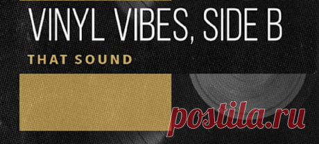 That Sound Vinyl Vibes – Side B WAV | 231.06 MB
This pack isn’t just a sequel — it’s the essential flip side, the B-side that beatmakers, fans, and DJs truly treasure. To sample or not to sample? That’s the real crate-digger’s dilemma. Packed with dusty warmth and irresistible swing, this collection sets you on the perfect path to discovering endless inspiration for your next creations.
DOWNLOAD: https://audioclub.store/samples/vinyl-vibes-side-b-wav/