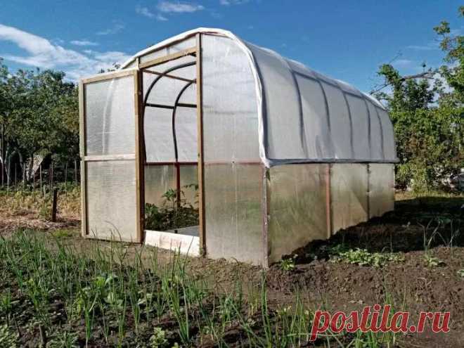 Тепличный микроклимат создает не только идеальные условия для растений, но и настоящий рай для опасного вредителя. Паутинный клещ в замкнутом пространстве способен погубить урожай в рекордные сроки.