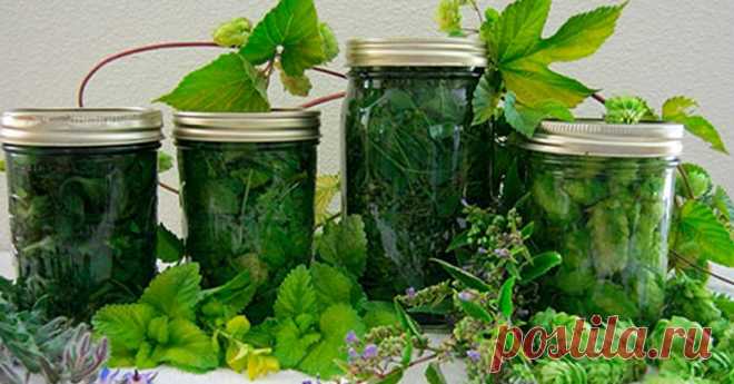 10 натуральных средств, которые избавят вас от сосудистой сеточки и варикозного расширения вен Варикоз – это неэстетично, дискомфортно, больно и опасно! Возникает такое заболевание из-за долгого нахождения на ногах, после беременности, а также из-за повышенной массы тела. Давайте узнаем, как из…