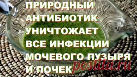 ПРИРОДНЫЙ СУПЕР АНТИБИОТИК УНИЧТОЖАЕТ ВСЕ ИНФЕКЦИИ МОЧЕВОГО ПУЗЫРЯ И ПОЧЕК ПОСЛЕ ПЕРВОГО ИСПОЛЬЗОВАНИЯ.
Люди, которые страдают от инфекции мочевых путей испытывают постоянно боль. Давление, боль и постоянная потребность к мочеиспусканию некоторые из симптомов.
Есть различные природные антибиотики, которые имеют положительный эффект, помогая с воспалением мочевого пузыря.
Каковы симптомы цистита