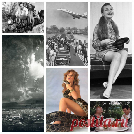 Очередная сборка, 40 фото!