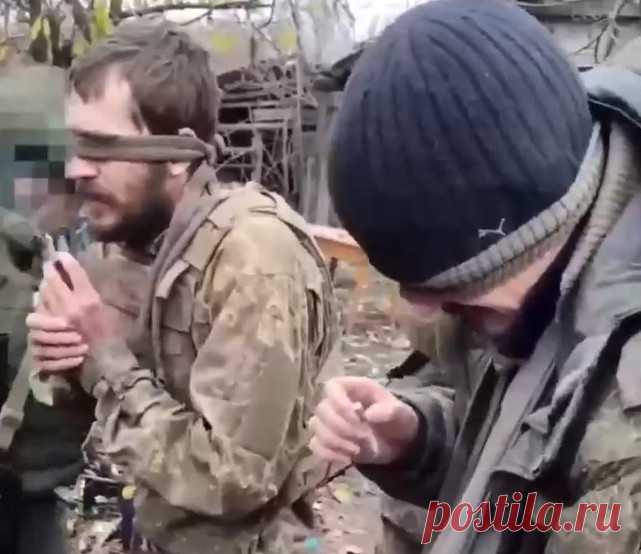 Вот так происходил захват пленных в одном из опорных пунктов Павловки | VestiNewsRF.Ru