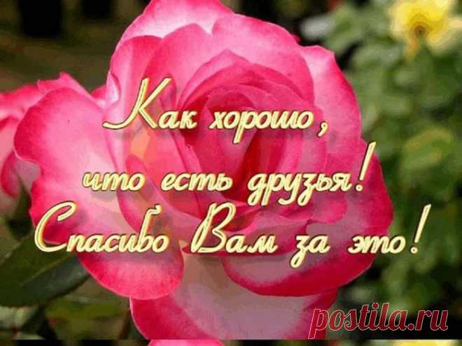 Спасибо всем...