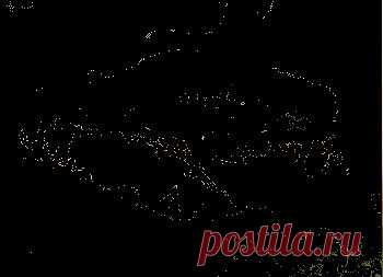 Рецепты из рыбы
