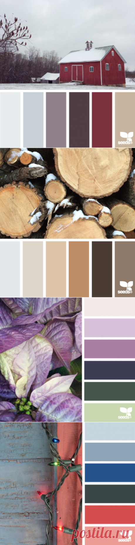 design seeds | for all who ♥ color