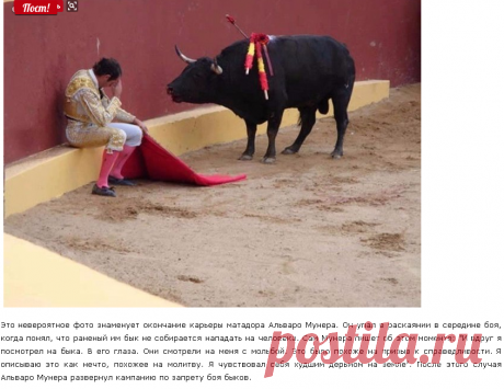 Это невероятное фото, знаменует окончание карьеры матадора Альваро Мунера