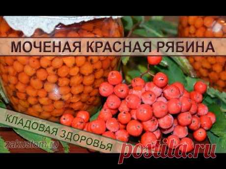 Моченая рябина - полезная добавка к любому блюду и украшение стола