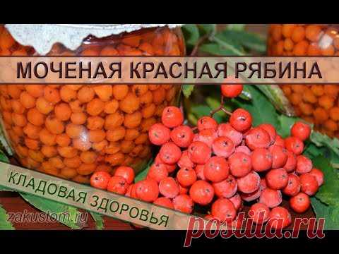 Моченая рябина - полезная добавка к любому блюду и украшение стола