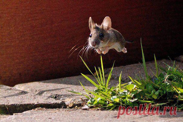Самые Забавные Фотографии, Сделанные В Правильный Момент. | ТАЙНЫ ВСЕЛЕННОЙ
