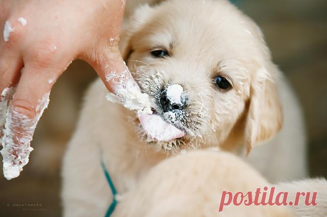 Тамара Колинченко - Киев, Украина, 55 лет на Мой Мир@Mail.ru