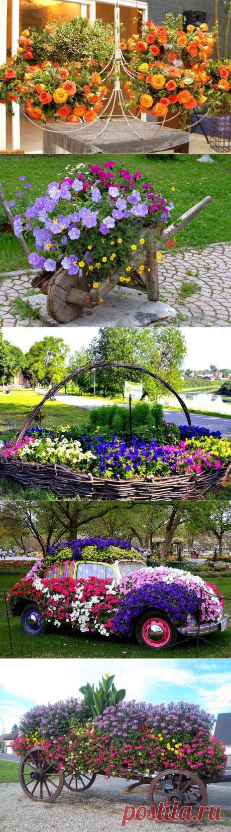 Красота своими руками. Примеры оформления цветочных клумб | Удивительное и смешное в картинках