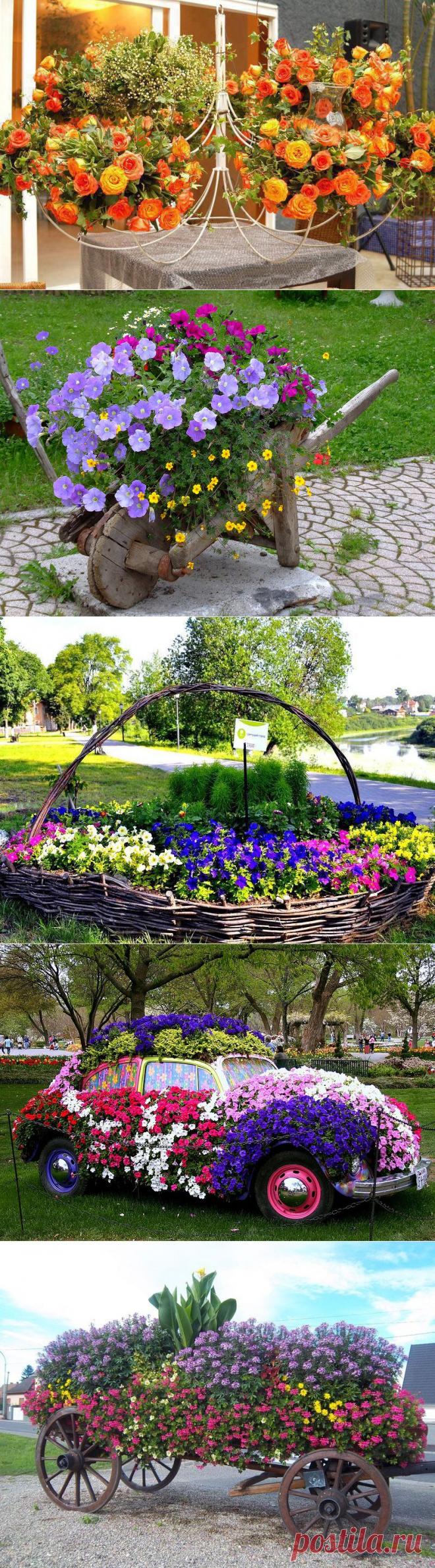 Красота своими руками. Примеры оформления цветочных клумб | Удивительное и смешное в картинках