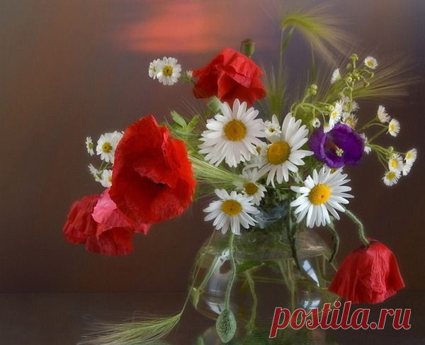 0 (33) - РОМАШКИ <!--if(НАТЮРМОРТЫ И ЦВЕТЫ)-->- НАТЮРМОРТЫ И ЦВЕТЫ<!--endif--> - Клипарт/Картины/Фотонатюрморты - Открытки и Дизайн от Искательницы Ailona