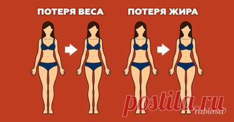 Вот в чем разница между потерей веса и сжиганием жира | Милая Я Похудение — важная составляющая жизни многих людей, особенно женщин. Некоторые просто зациклены на диетах, потому что каждый год мечтают дождаться лета и выйти на пляж с идеальной фигурой! Оказывается, что существует определенная разница между потерей веса и сжиганием жира. Вам стоит об этом знать! Как правило, есть три показателя, характерных для снижения веса: потеря жира, потеря воды и потеря мышц. Это не о...